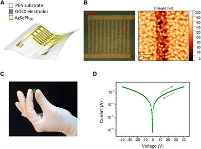 Layered metal-organic chalcogenide thin films for flexible and large-area X-ray direct detection
